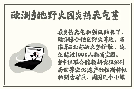 雨后小故事在线观看